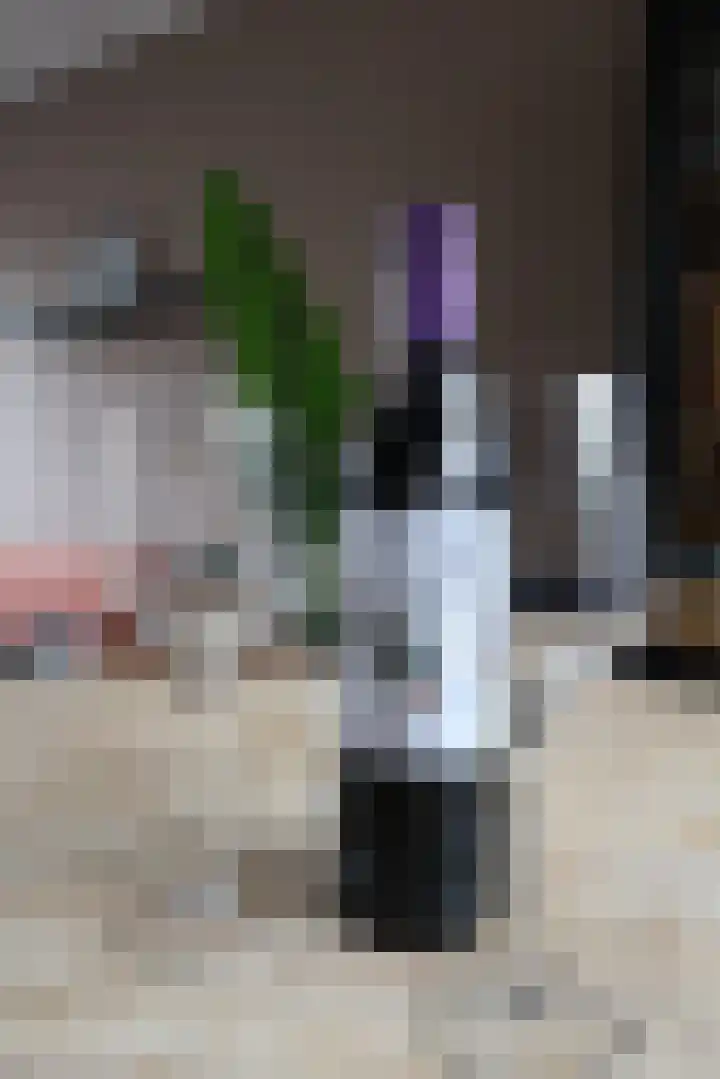 Thorbeckestraat 5 Sneek thumbnail 10