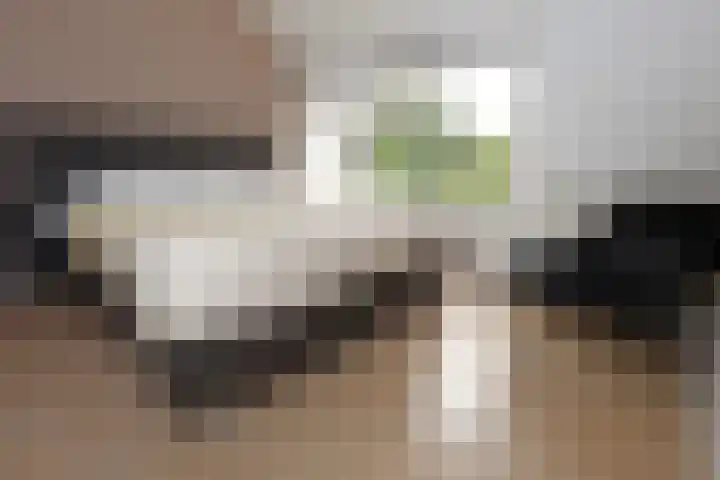 Thorbeckestraat 5 Sneek thumbnail 14