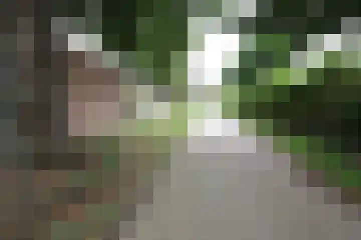 Thorbeckestraat 5 Sneek thumbnail 21