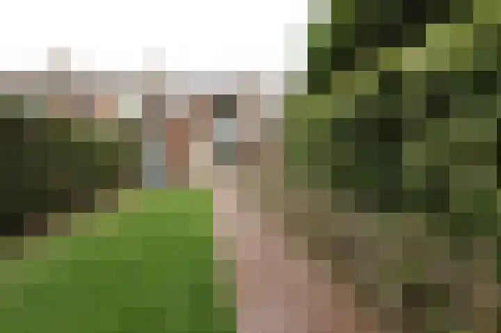 Thorbeckestraat 5 Sneek thumbnail 4