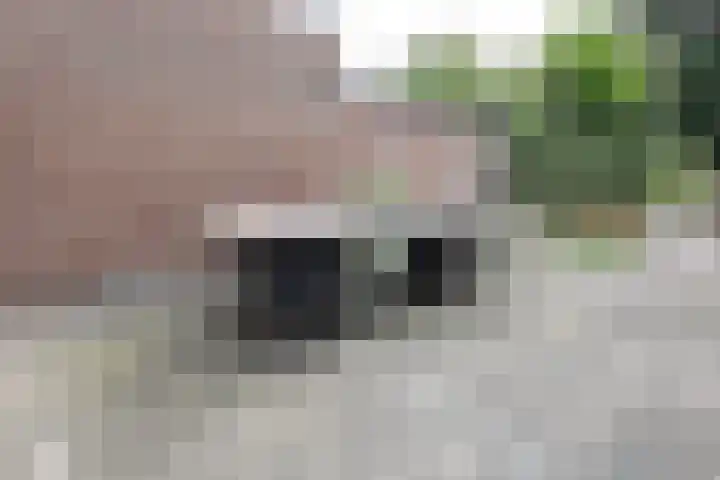 Thorbeckestraat 5 Sneek thumbnail 5