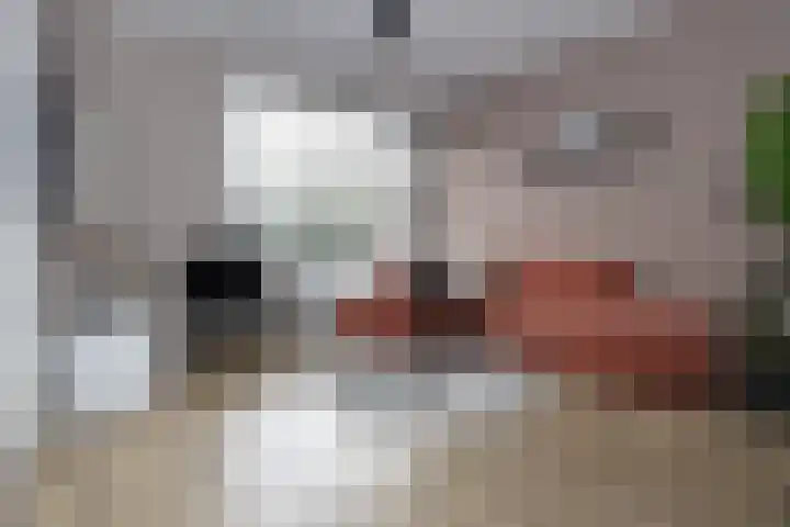 Thorbeckestraat 5 Sneek thumbnail 6