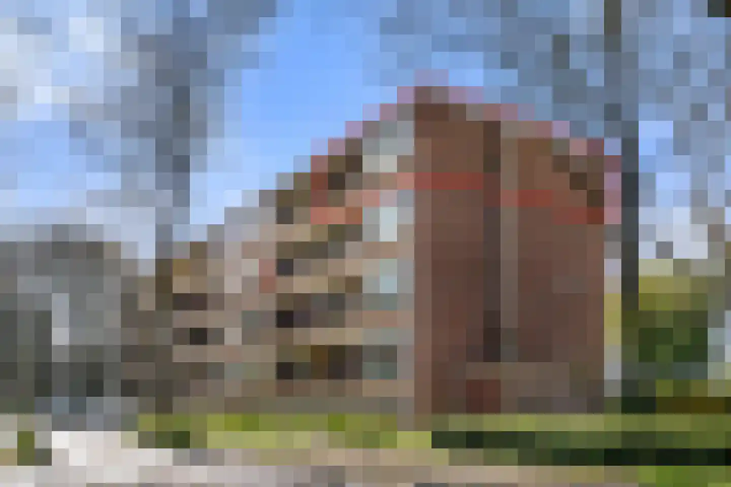 Thorbeckestraat 514 Wageningen