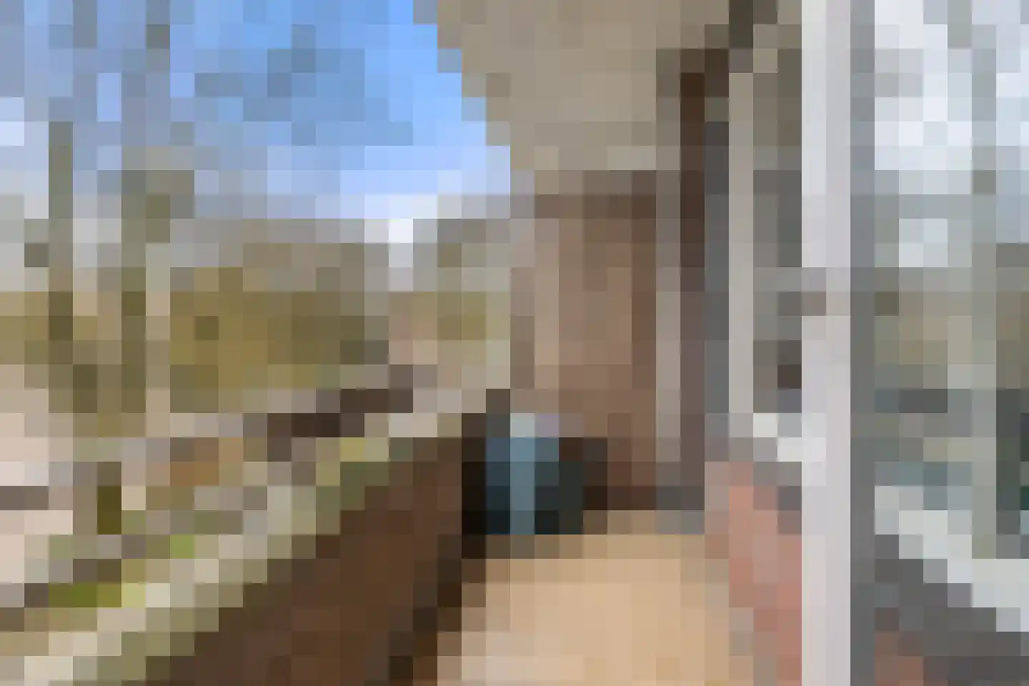Thorbeckestraat 514 Wageningen thumbnail 12