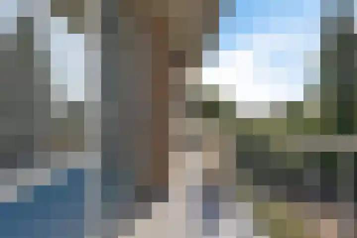 Thorbeckestraat 52 2 Arnhem thumbnail 8
