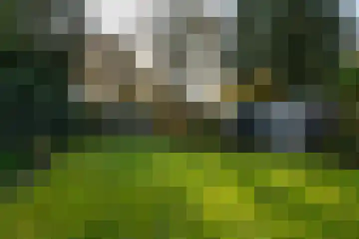Thorbeckestraat 52 Steenwijk thumbnail 4