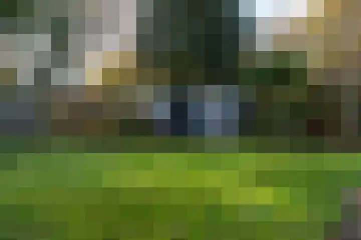 Thorbeckestraat 52 Steenwijk thumbnail 43