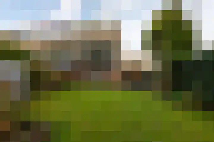 Thorbeckestraat 52 Steenwijk thumbnail 5