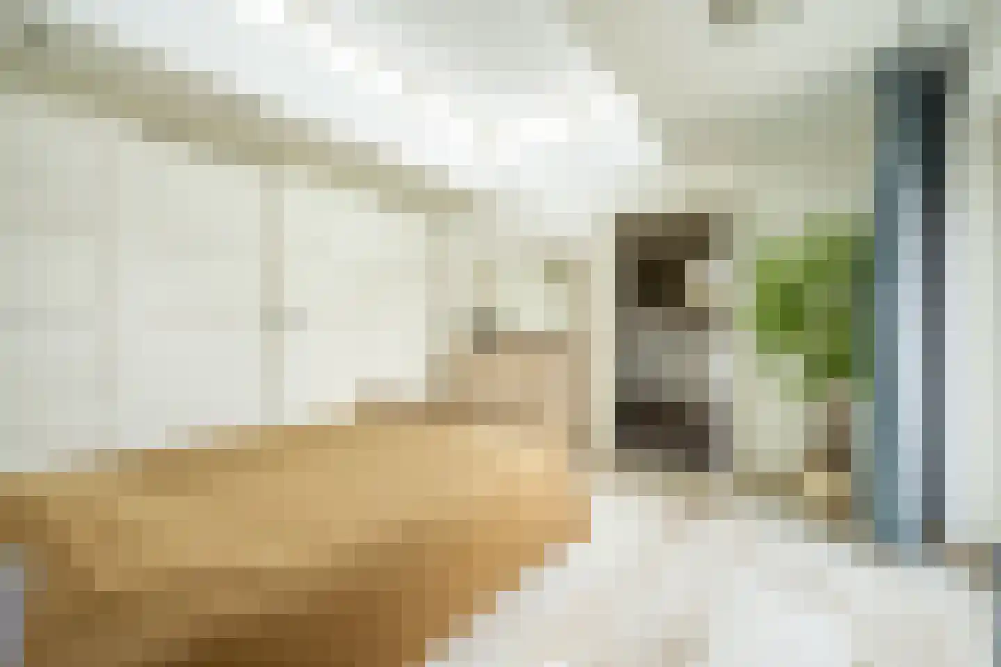 Thorbeckestraat 53 Zaltbommel thumbnail 37