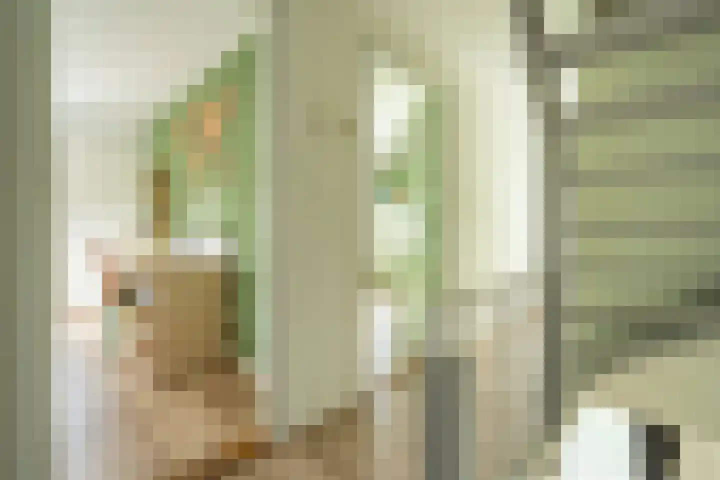 Thorbeckestraat 53 Zaltbommel thumbnail 44