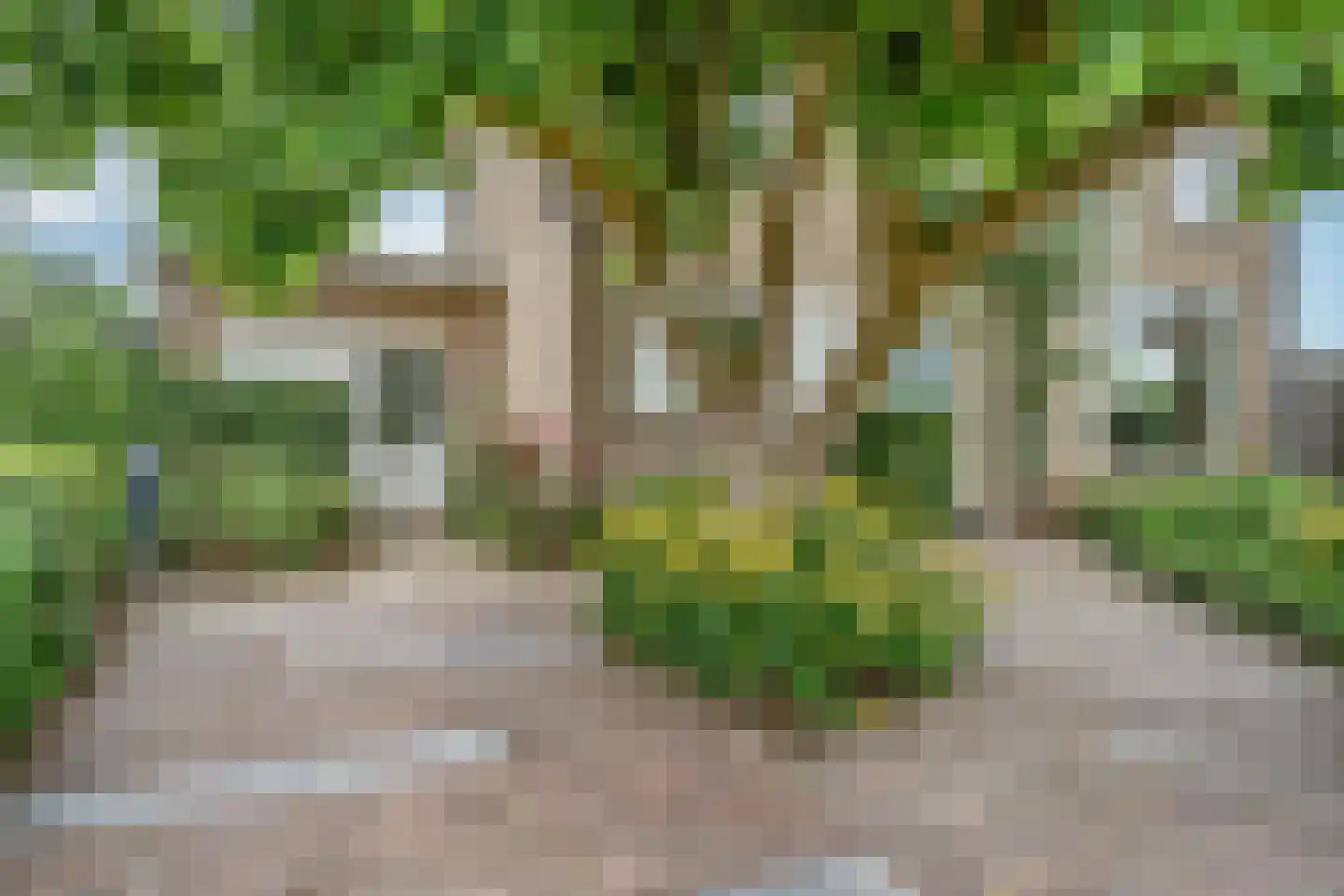 Thorbeckestraat 53 Zaltbommel thumbnail 5