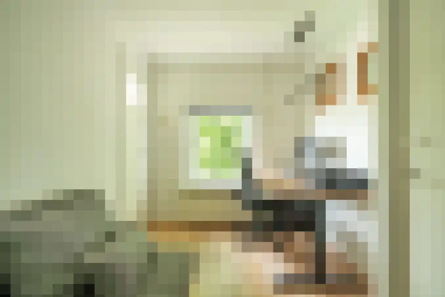 Thorbeckestraat 53 Zaltbommel thumbnail 52