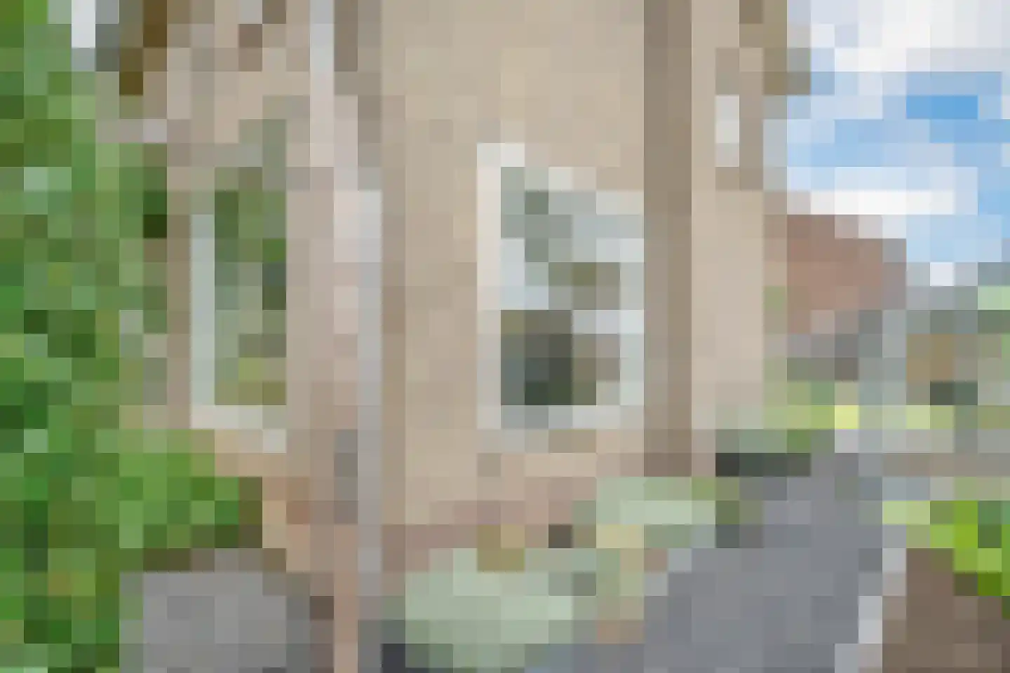 Thorbeckestraat 53 Zaltbommel thumbnail 8