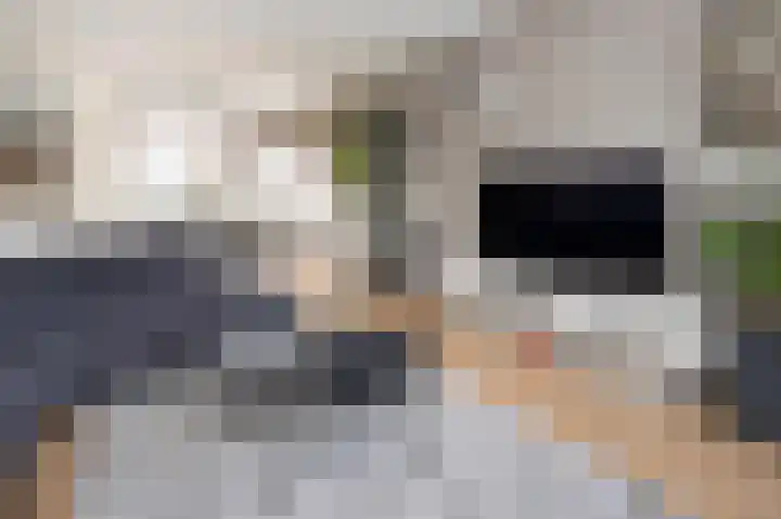 Thorbeckestraat 54 Brummen thumbnail 6
