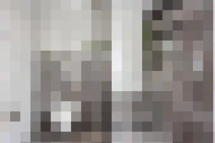 Thorbeckestraat 54 Oss thumbnail 22