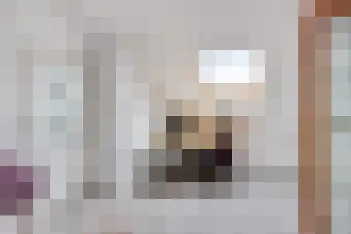 Thorbeckestraat 54 Oss thumbnail 31