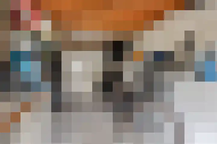 Thorbeckestraat 54 Oss thumbnail 38