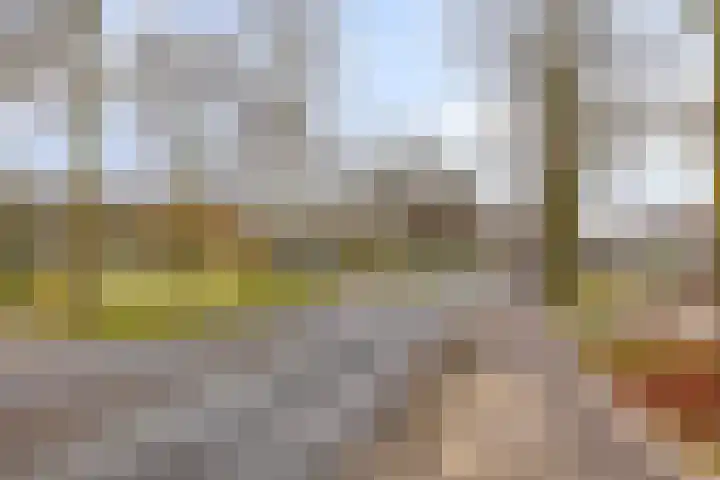 Thorbeckestraat 54 Oss thumbnail 44