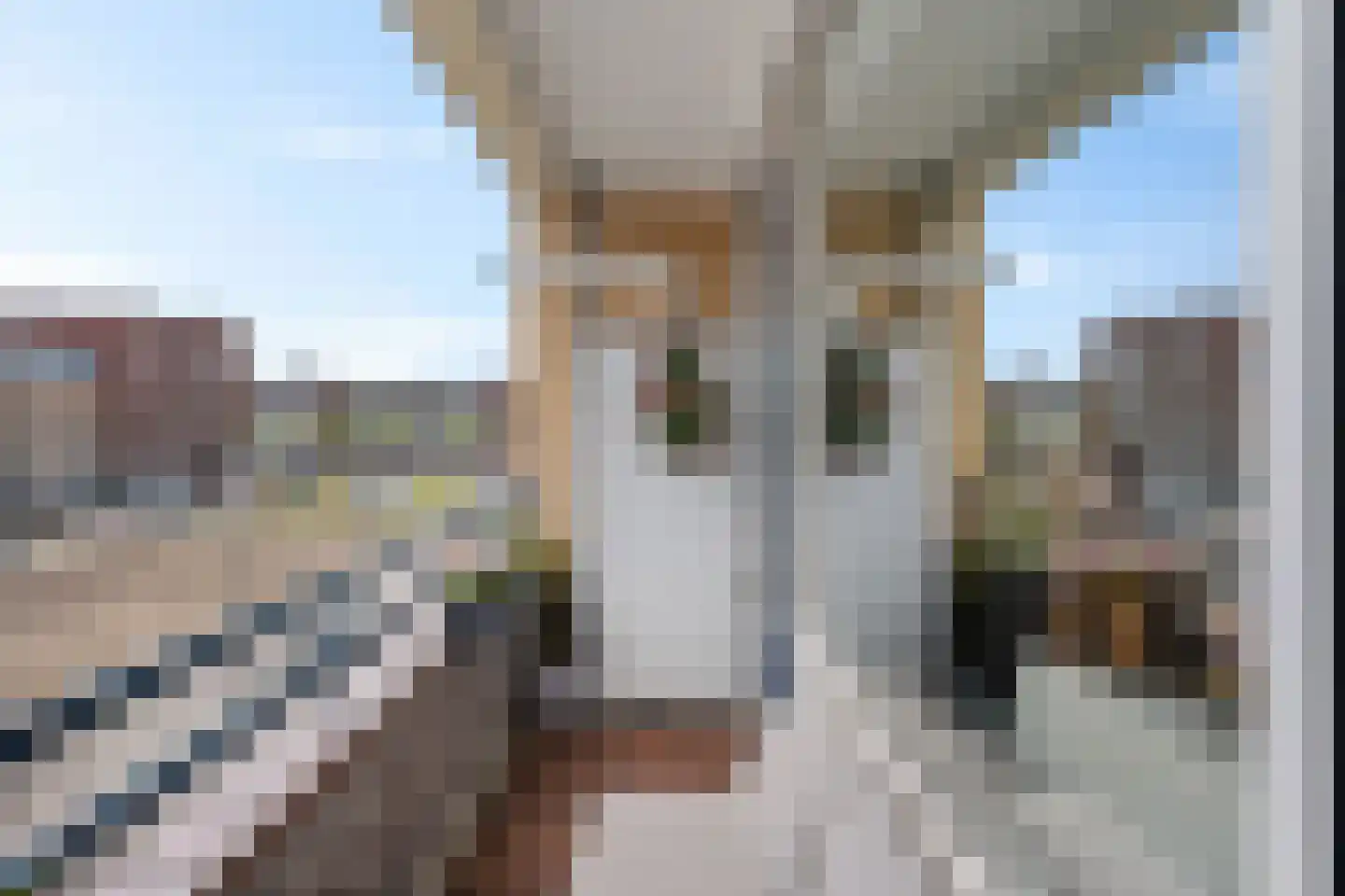Thorbeckestraat 55 Alphen aan den Rijn thumbnail 15
