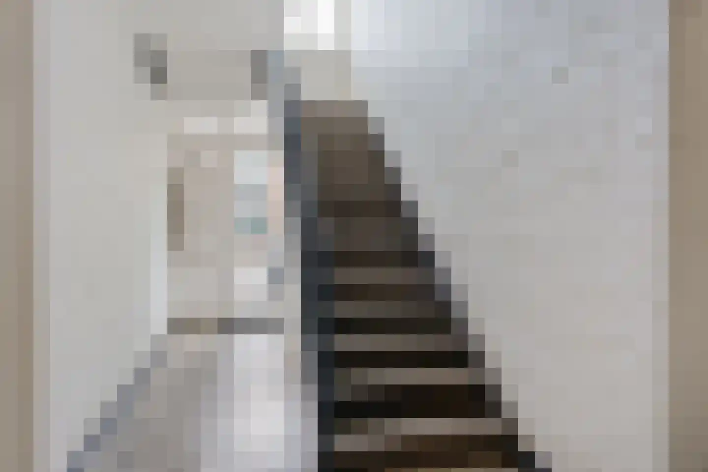 Thorbeckestraat 55 Alphen aan den Rijn thumbnail 4