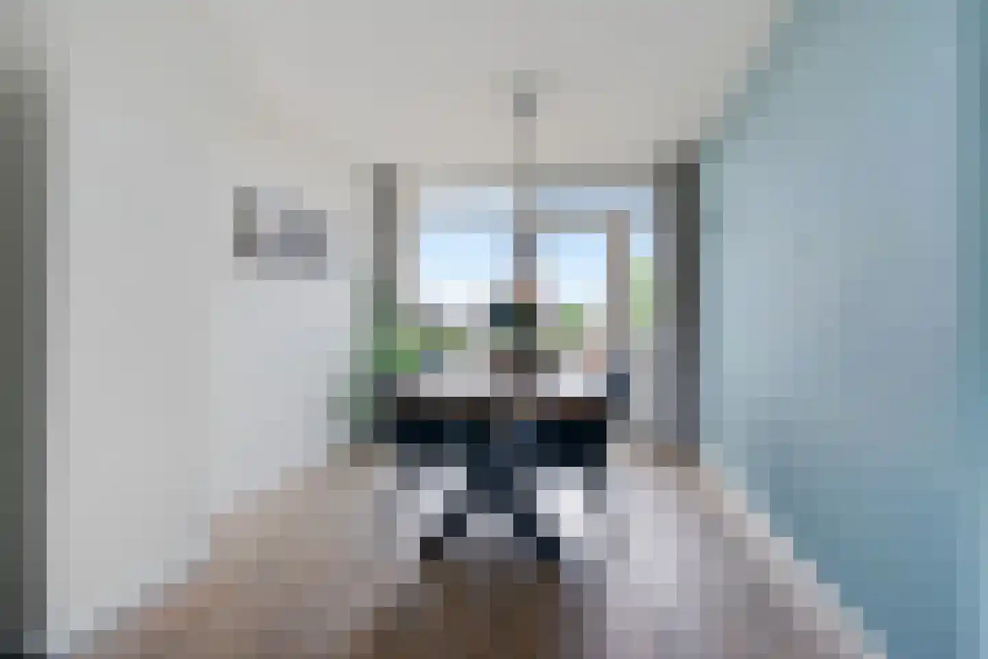 Thorbeckestraat 55 Alphen aan den Rijn thumbnail 9