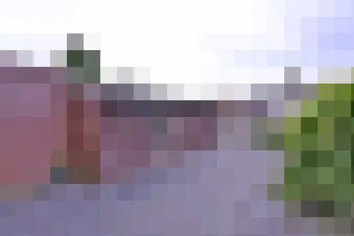 Thorbeckestraat 58 Brummen thumbnail 30