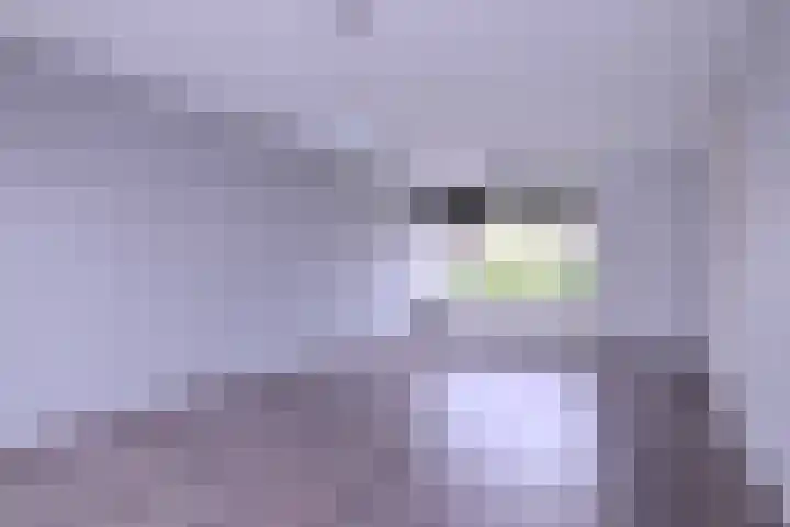 Thorbeckestraat 58 Brummen thumbnail 8