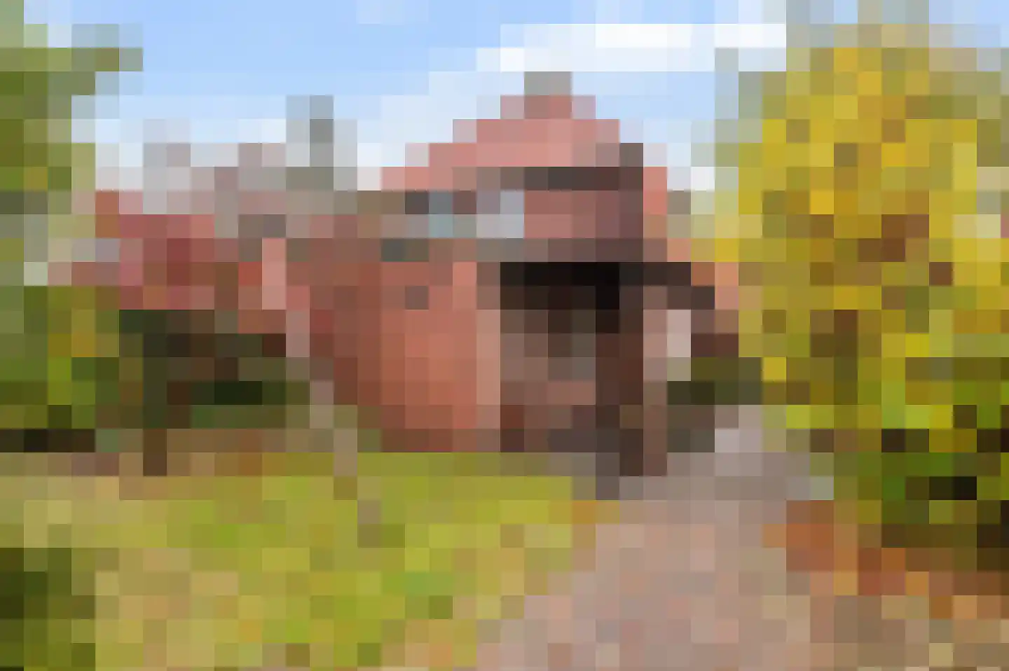 Thorbeckestraat 6 Eibergen thumbnail 18