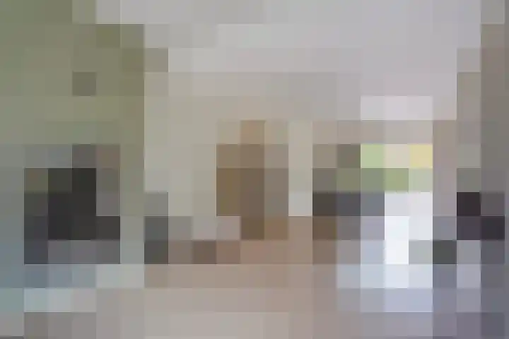 Thorbeckestraat 6 Naaldwijk thumbnail 14