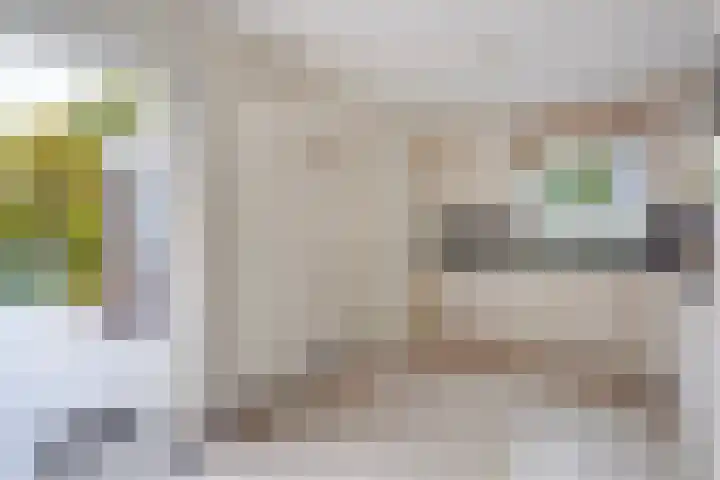 Thorbeckestraat 6 Naaldwijk thumbnail 19