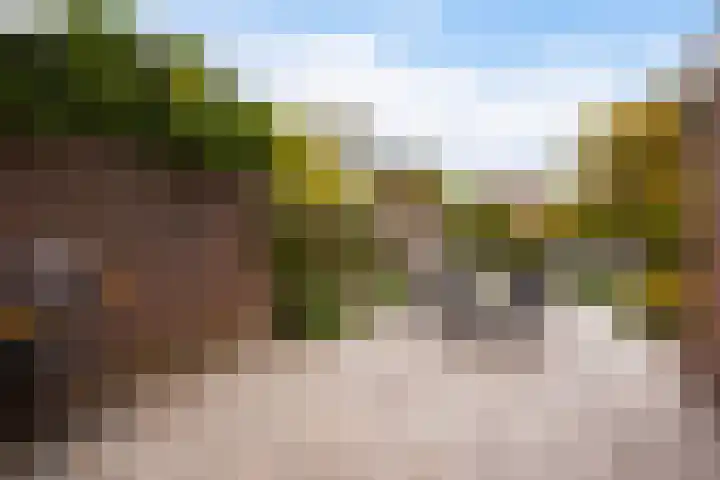 Thorbeckestraat 6 Naaldwijk thumbnail 23