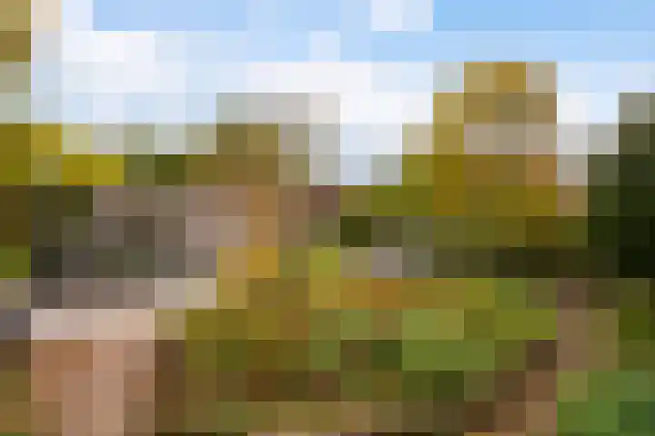 Thorbeckestraat 6 Naaldwijk thumbnail 24