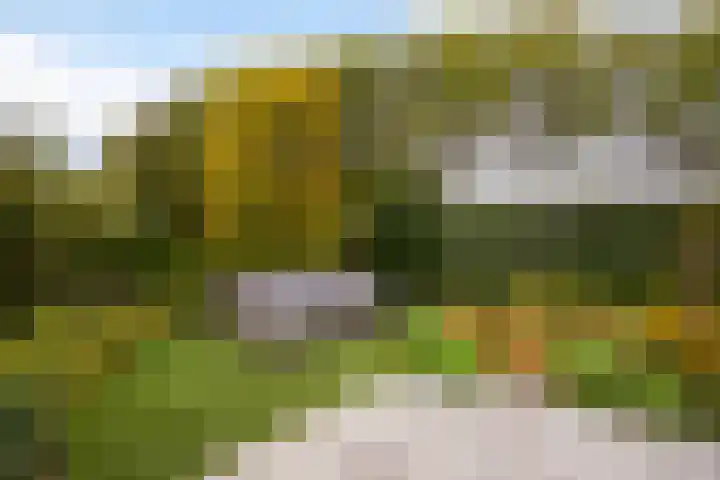 Thorbeckestraat 6 Naaldwijk thumbnail 25