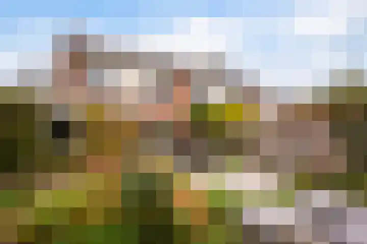 Thorbeckestraat 6 Naaldwijk thumbnail 26