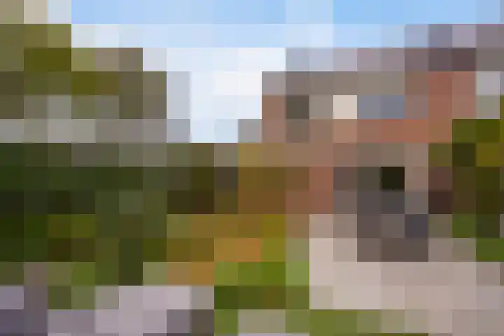 Thorbeckestraat 6 Naaldwijk thumbnail 27