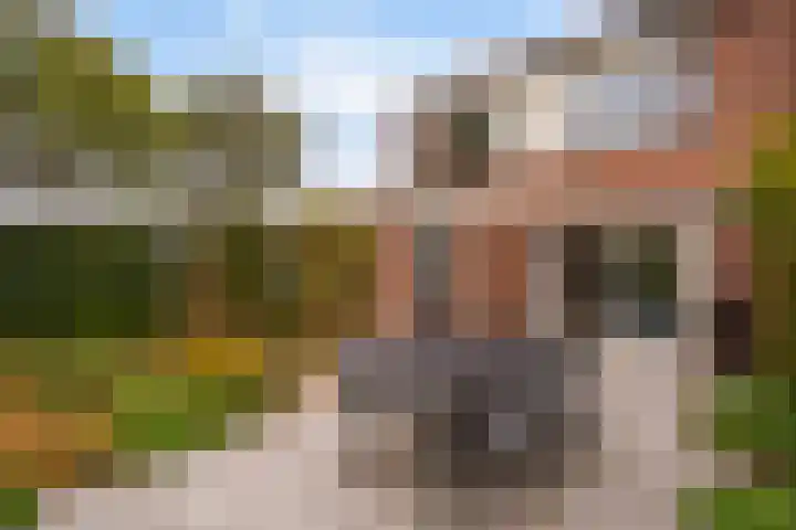 Thorbeckestraat 6 Naaldwijk thumbnail 28