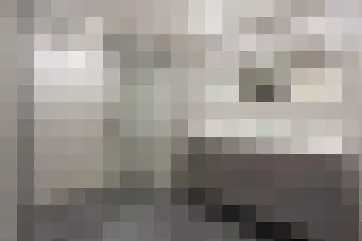 Thorbeckestraat 6 Naaldwijk thumbnail 34