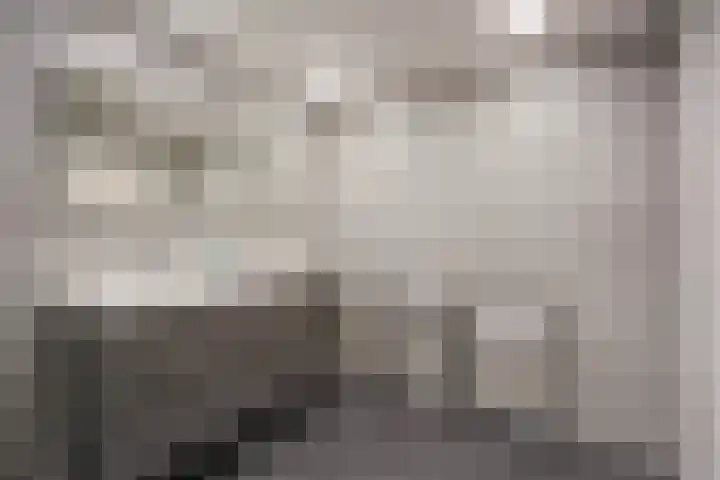 Thorbeckestraat 6 Naaldwijk thumbnail 35