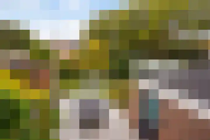 Thorbeckestraat 6 Naaldwijk thumbnail 41