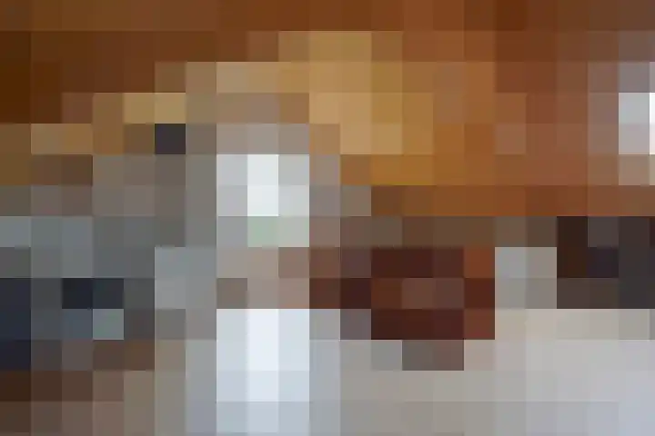 Thorbeckestraat 6 Naaldwijk thumbnail 50