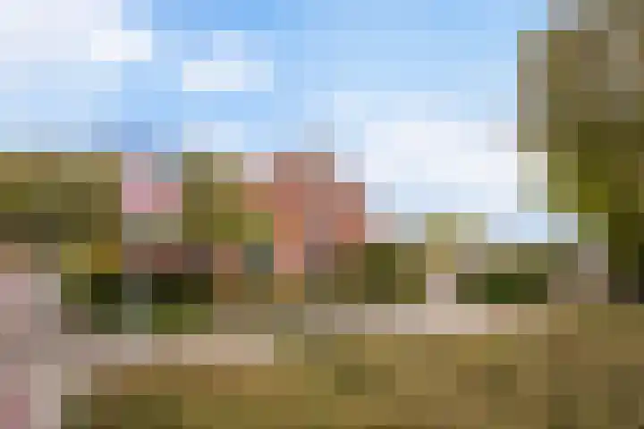 Thorbeckestraat 6 Naaldwijk thumbnail 52