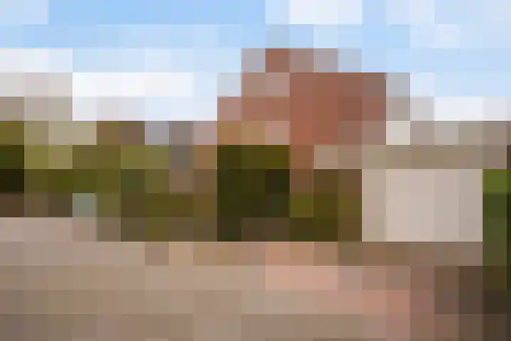 Thorbeckestraat 6 Naaldwijk thumbnail 55