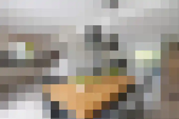 Thorbeckestraat 6 Naaldwijk thumbnail 6