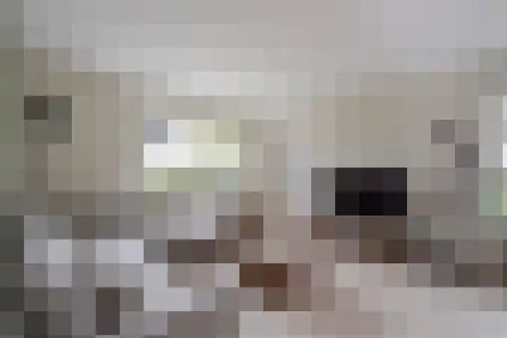 Thorbeckestraat 6 Naaldwijk thumbnail 9