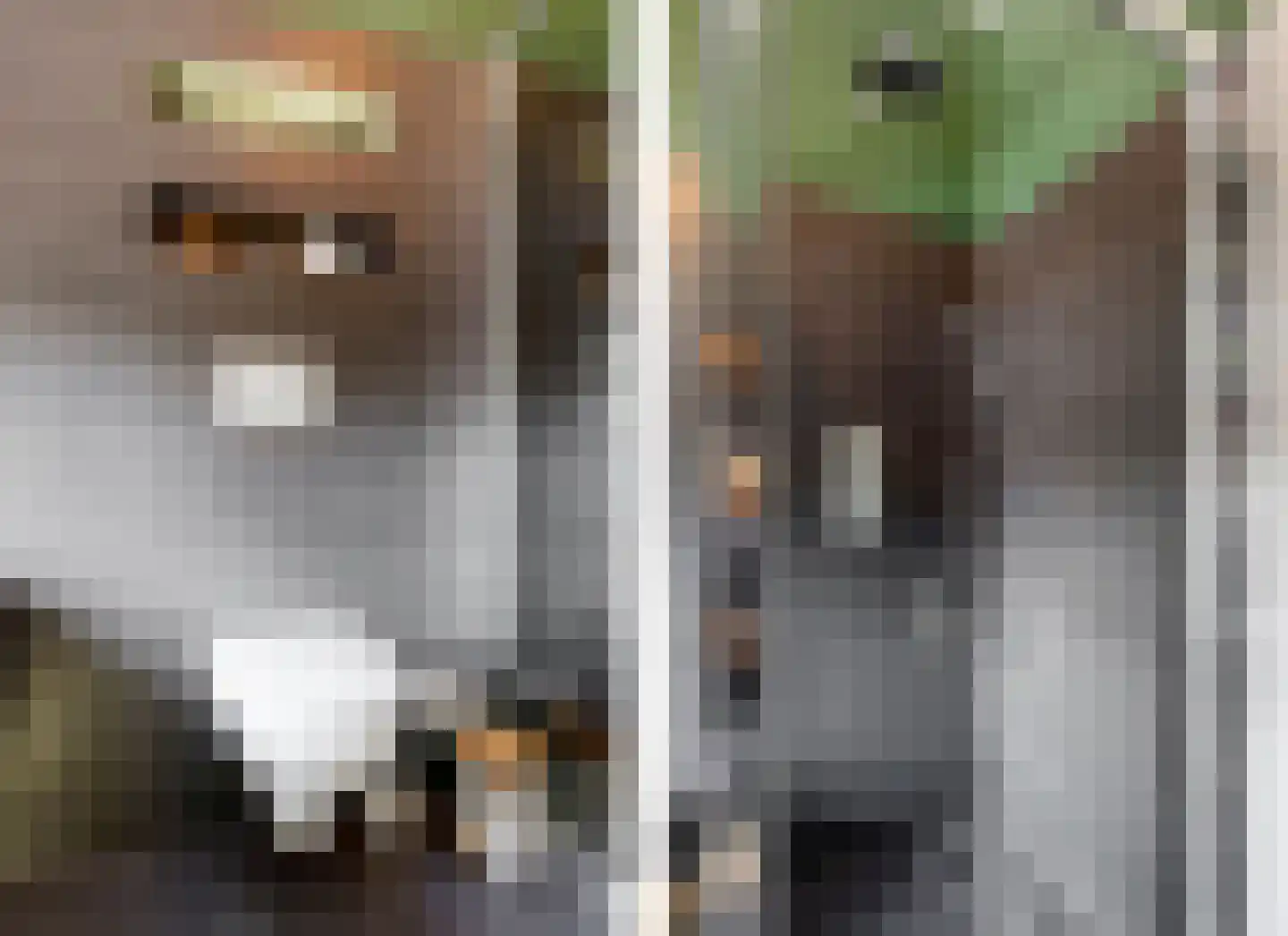 Thorbeckestraat 6 Roermond thumbnail 22