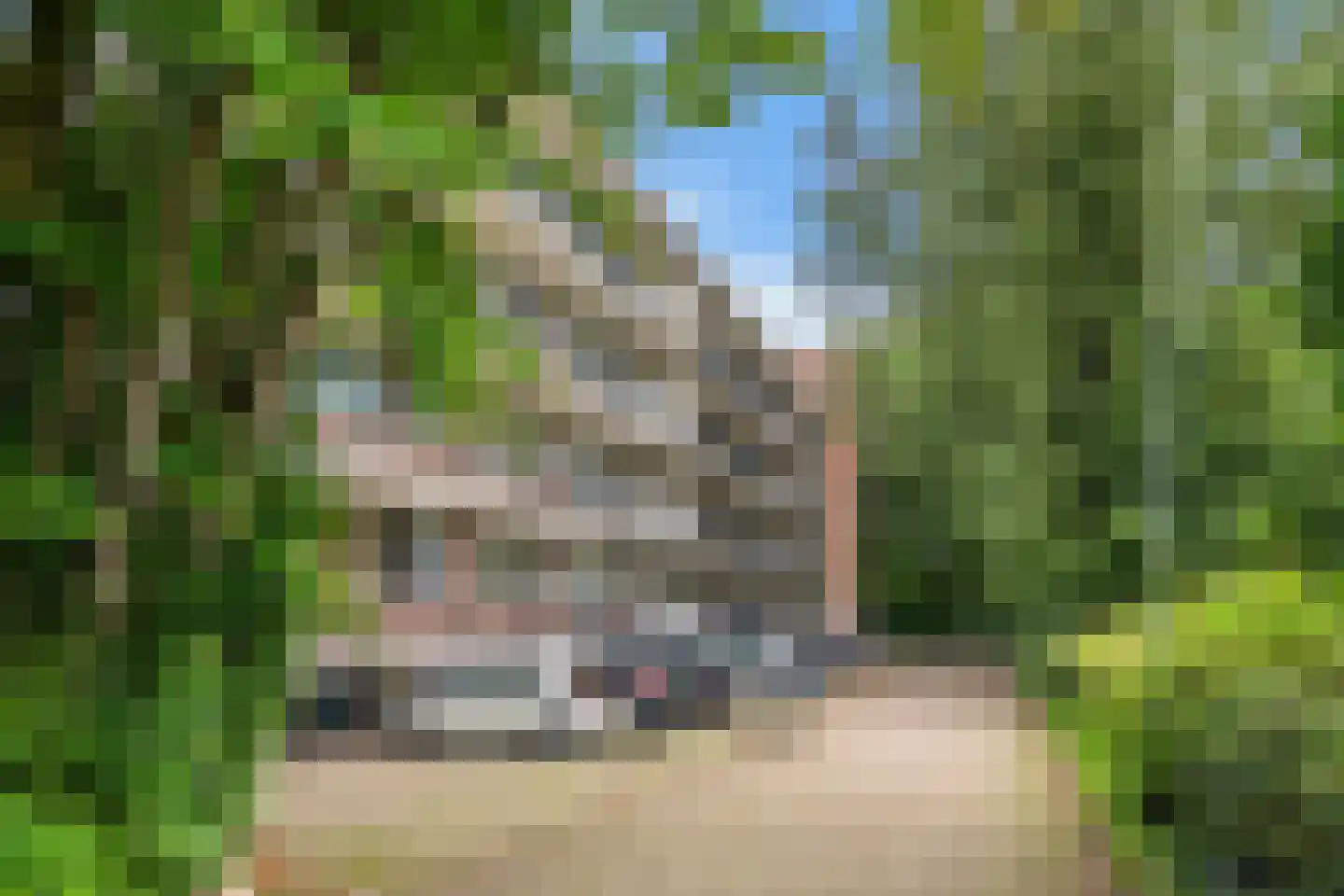 Thorbeckestraat 6 Wageningen thumbnail 26