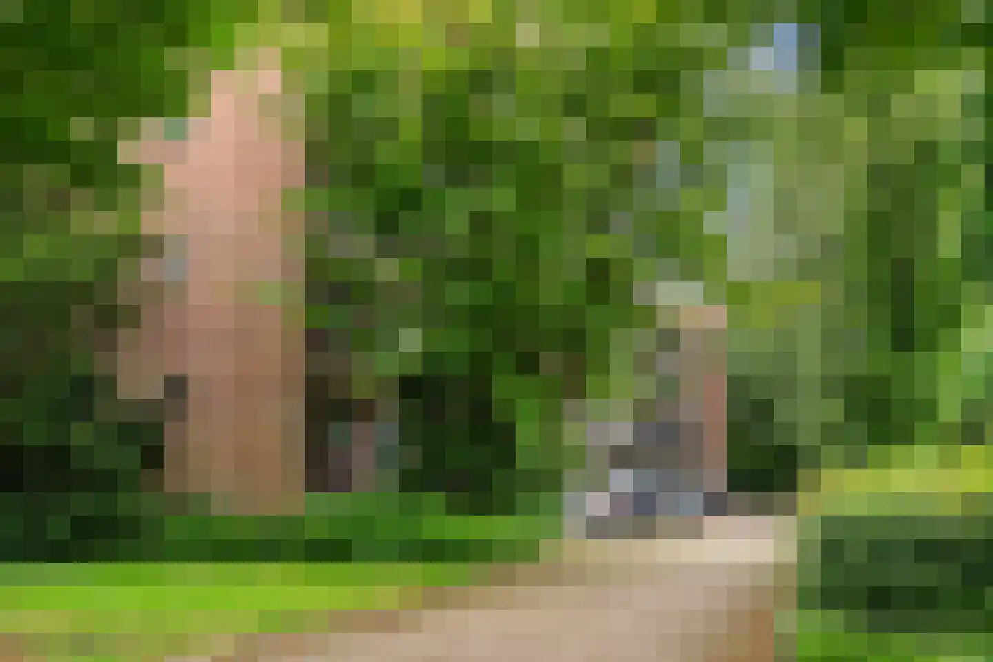 Thorbeckestraat 6 Wageningen thumbnail 27