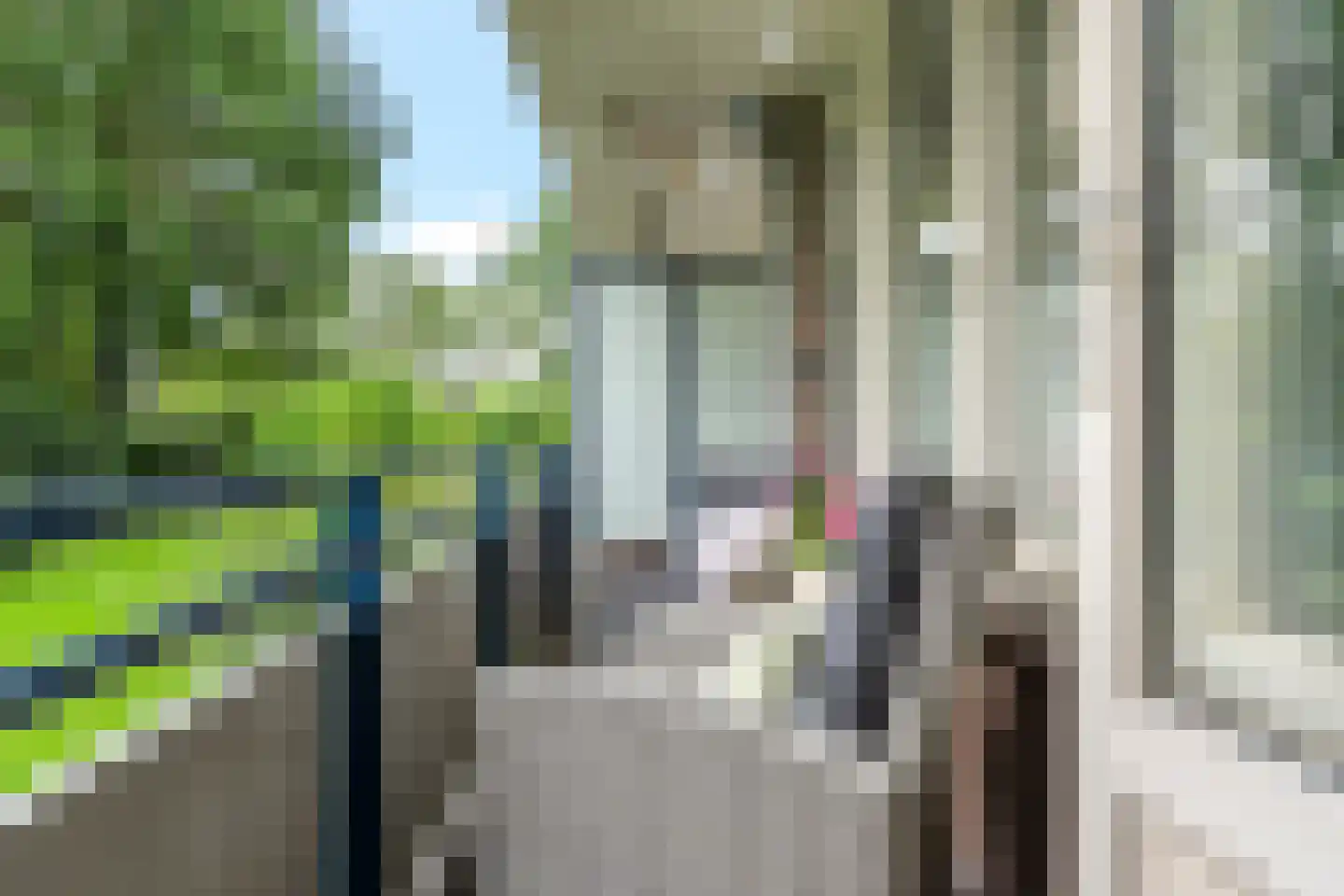 Thorbeckestraat 6 Wageningen thumbnail 6