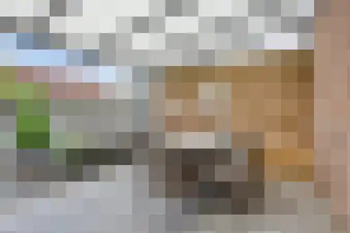 Thorbeckestraat 6 Winterswijk thumbnail 30