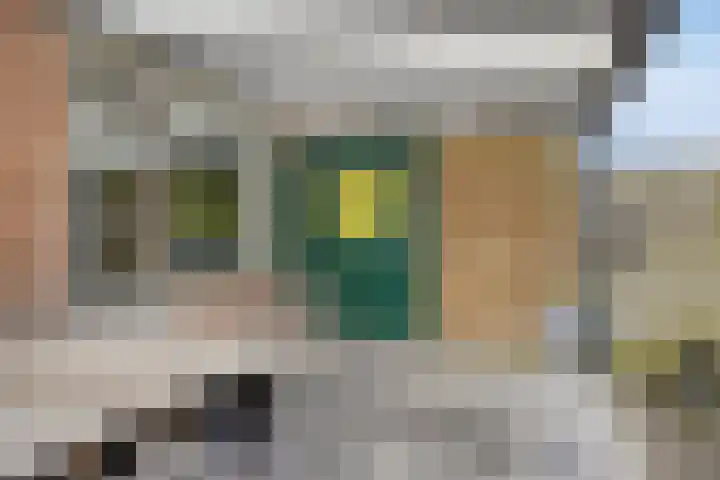 Thorbeckestraat 6 Winterswijk thumbnail 31